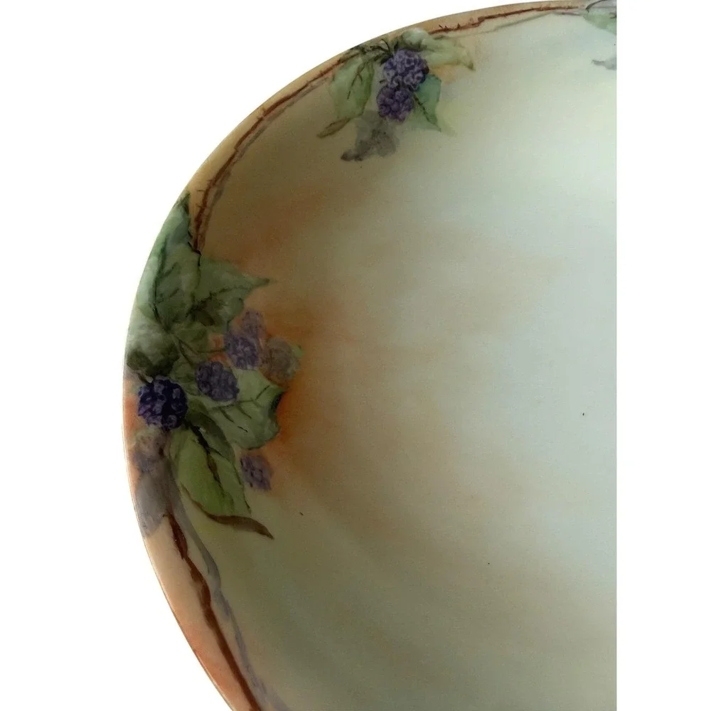 Antique Bavarian Porcelain Blackberry Berry Bowl Set 1919 Hand Painted Germany 7